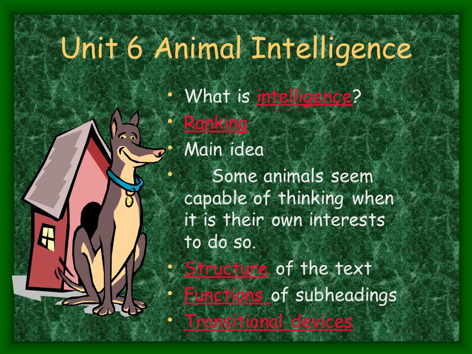 Unit 6 Animal Intelligence What is intelligence?intelligence Ranking Main  idea Some animals seem capable of thinking when it is their own interests  to. - ppt download