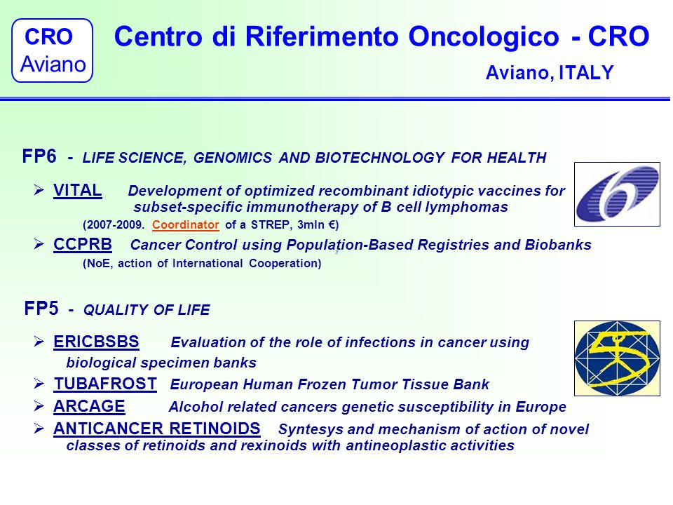 Centro di Riferimento Oncologico - CRO Aviano, ITALY FP6 - LIFE SCIENCE,  GENOMICS AND BIOTECHNOLOGY FOR HEALTH  VITAL Development of optimized  recombinant. - ppt download