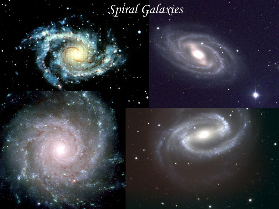 Spiral Galaxies. Elliptical Galaxies Irregular Galaxies. - ppt download