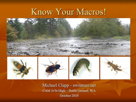 Know Your Macros! Michael Clapp - nwnature.net