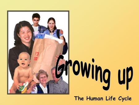 Growing up The Human Life Cycle.