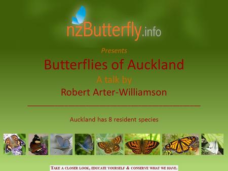 Butterflies of Auckland