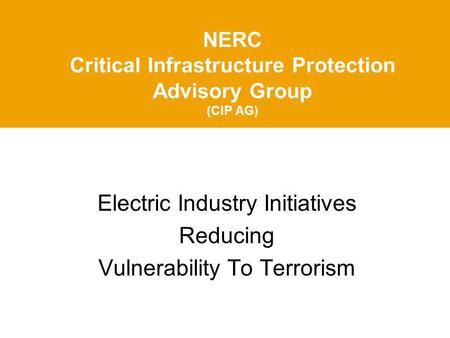 NERC Critical Infrastructure Protection Advisory Group (CIP AG) Electric Industry Initiatives Reducing Vulnerability To Terrorism.