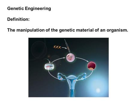 Genetic Engineering Definition: