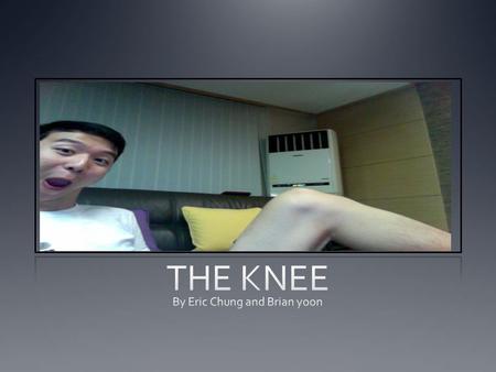 The Knee Is a Joint More specifically … A LEG JOINT.