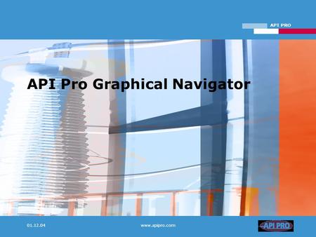 API PRO 01.12.04www.apipro.com API Pro Graphical Navigator.