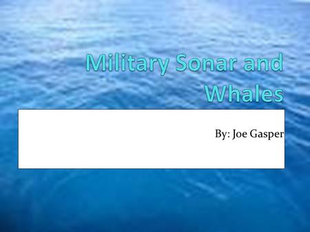 Military Sonar and Whales