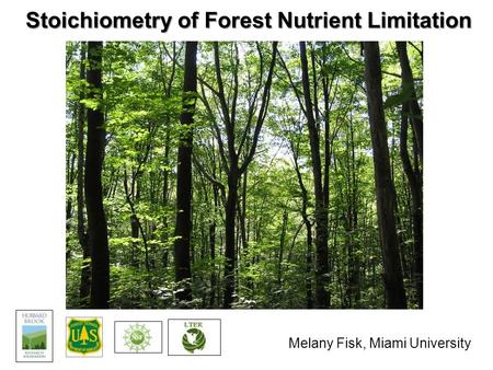 Stoichiometry of Forest Nutrient Limitation Melany Fisk, Miami University.