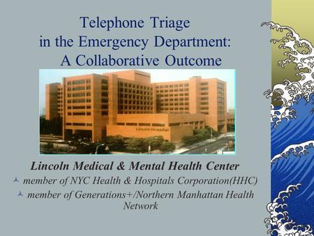 Telephone Triage in the Emergency Department: A Collaborative Outcome