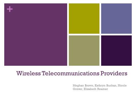 + Wireless Telecommunications Providers Meghan Brown, Kathryn Buchan, Nicole Grover, Elizabeth Reamer.