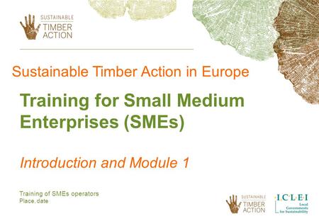 Training of SMEs operators Place, date Sustainable Timber Action in Europe Training for Small Medium Enterprises (SMEs) Introduction and Module 1.