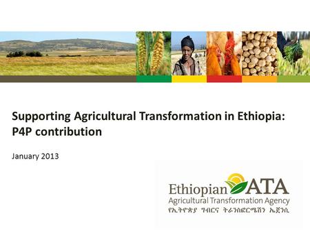 Supporting Agricultural Transformation in Ethiopia: P4P contribution
