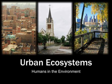 Urban Ecosystems Humans in the Environment. The Human Element Until the 19th century, American Bison roamed the Great Plains by the millions, providing.