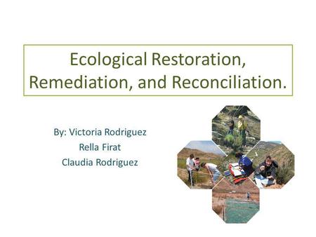 Ecological Restoration, Remediation, and Reconciliation. By: Victoria Rodriguez Rella Firat Claudia Rodriguez.