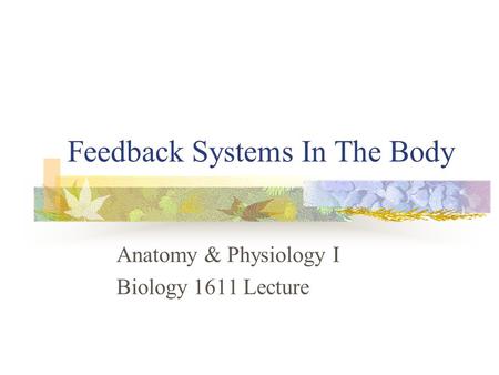 Feedback Systems In The Body