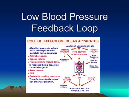 Low Blood Pressure Feedback Loop