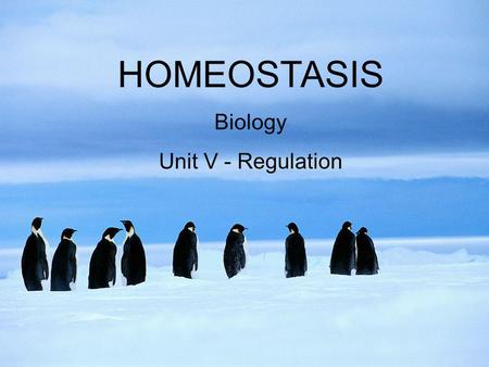 HOMEOSTASIS Biology Unit V - Regulation.