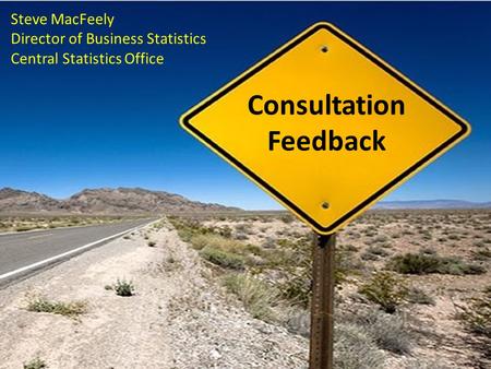 Consultation Feedback Steve MacFeely Director of Business Statistics Central Statistics Office.