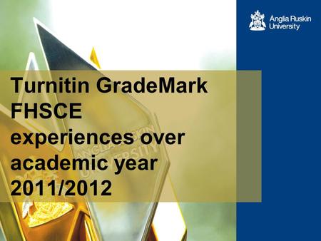 Turnitin GradeMark FHSCE experiences over academic year 2011/2012.
