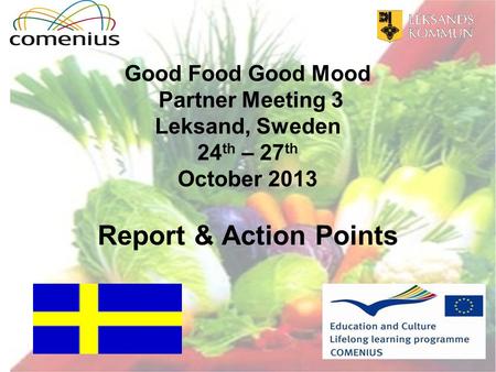 Good Food Good Mood Partner Meeting 3 Leksand, Sweden 24 th – 27 th October 2013 Report & Action Points.