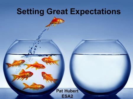 Setting Great Expectations