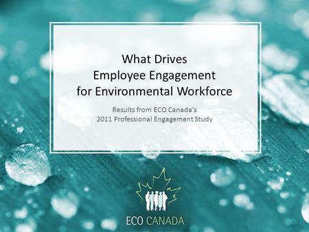 What Drives Employee Engagement for Environmental Workforce Results from ECO Canadas 2011 Professional Engagement Study.