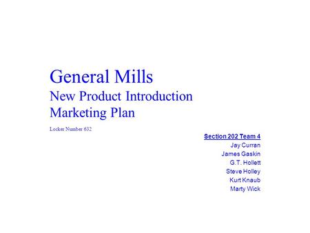 General Mills New Product Introduction Marketing Plan