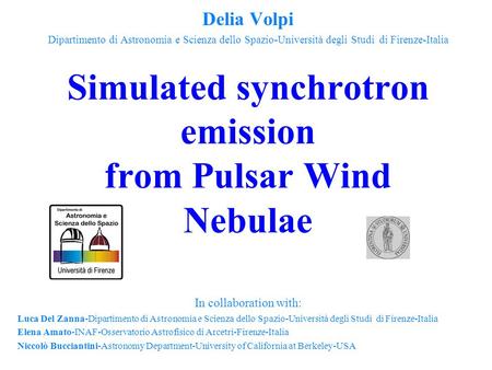 Simulated synchrotron emission from Pulsar Wind Nebulae Delia Volpi Dipartimento di Astronomia e Scienza dello Spazio-Università degli Studi di Firenze-Italia.