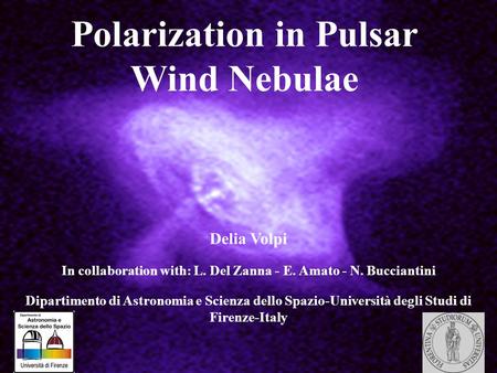 Polarization in Pulsar Wind Nebulae Delia Volpi In collaboration with: L. Del Zanna - E. Amato - N. Bucciantini Dipartimento di Astronomia e Scienza dello.