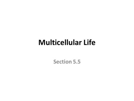 Multicellular Life Section 5.5.