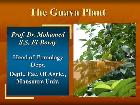 Prof. Dr. Mohamed S.S. El-Boray Dept., Fac. Of Agric., Mansoura Univ.