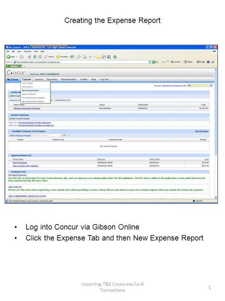 Creating the Expense Report