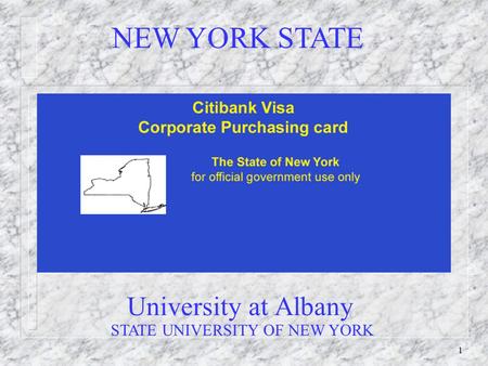 1 University at Albany NEW YORK STATE STATE UNIVERSITY OF NEW YORK.