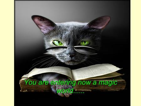 You are entering now a magic world....... in one single moment....