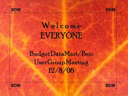 BDM W e l c o m e EVERYONE Budget DataMart/Brio User Group Meeting 12/8/06.