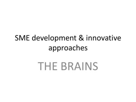 SME development & innovative approaches THE BRAINS.
