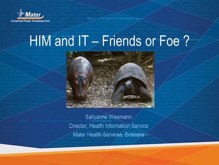 HIM and IT – Friends or Foe ? Sallyanne Wissmann Director, Health Information Service Mater Health Services, Brisbane.