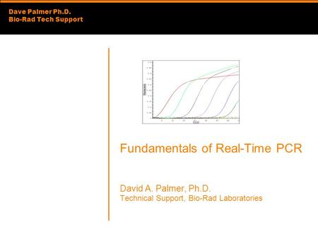 Fundamentals of Real-Time PCR