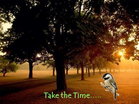 Take the Time…...