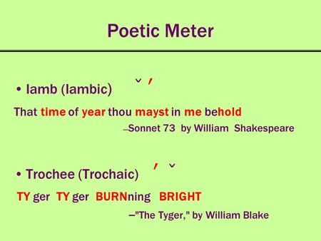 Poetic Meter Iamb (Iambic) ̌ ʹ Trochee (Trochaic) ʹ ̌