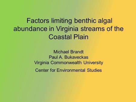 Factors limiting benthic algal abundance in Virginia streams of the Coastal Plain Michael Brandt Paul A. Bukaveckas Virginia Commonwealth University Center.