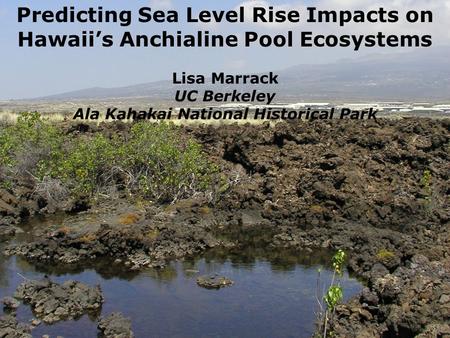 Predicting Sea Level Rise Impacts on Hawaiis Anchialine Pool Ecosystems Lisa Marrack UC Berkeley Ala Kahakai National Historical Park.
