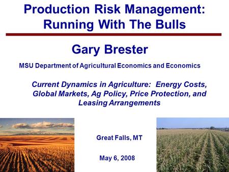 1 Production Risk Management: Running With The Bulls Gary Brester MSU Department of Agricultural Economics and Economics May 6, 2008 Current Dynamics in.