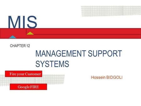 MIS MANAGEMENT SUPPORT SYSTEMS CHAPTER 12 Fire your Customer