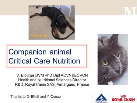Companion animal Critical Care Nutrition