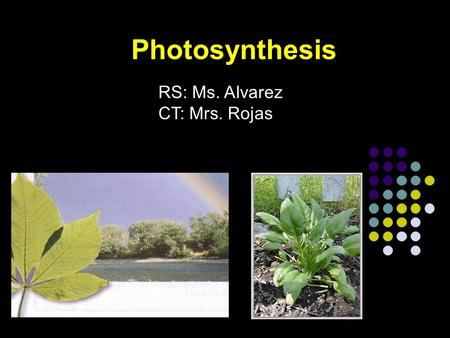 Photosynthesis RS: Ms. Alvarez CT: Mrs. Rojas. Photosynthesis Autotrophs (Plants, algae, many bacteria) make organic compounds by photosynthesis. Chloroplast.