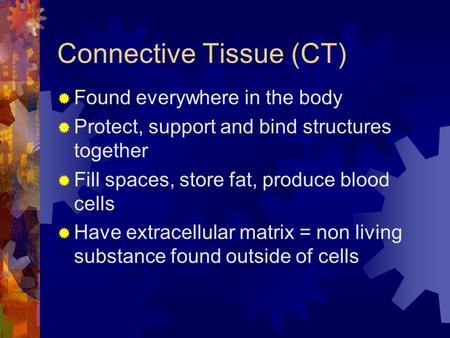 Connective Tissue (CT) Found everywhere in the body Protect, support and bind structures together Fill spaces, store fat, produce blood cells Have extracellular.