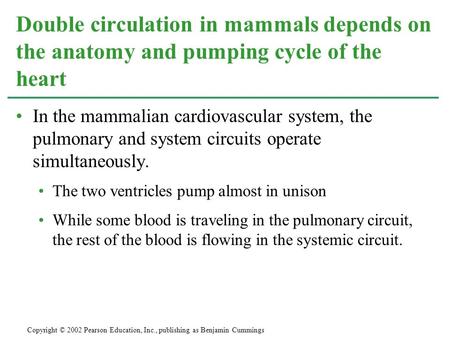 Double circulation in mammals depends on the anatomy and pumping cycle of the heart In the mammalian cardiovascular system, the pulmonary and system circuits.