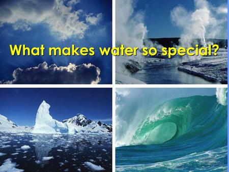 What makes water so special?