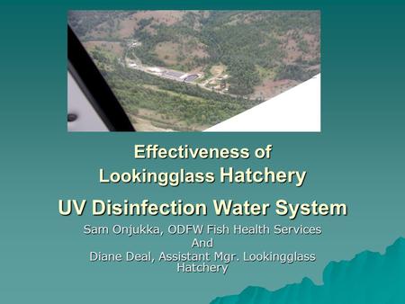Effectiveness of Lookingglass Hatchery UV Disinfection Water System Sam Onjukka, ODFW Fish Health Services And Diane Deal, Assistant Mgr. Lookingglass.